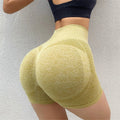 Seamless High-Waist Yoga Shorts